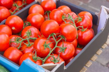 çok güneşli güney Almanya gördüğünüz kırmızı sarı ve yeşil renk çeşitlerini domates ile bir şehir bir sokak pazarı üzerinde durabilen Temmuz ayında