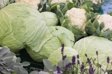 Temmuz ayında Güney Almanya gördüğünüz stand sebze soğan, salata, havuç ve daha fazla tür bir şehir sokak piyasada çok güneşli bir günde