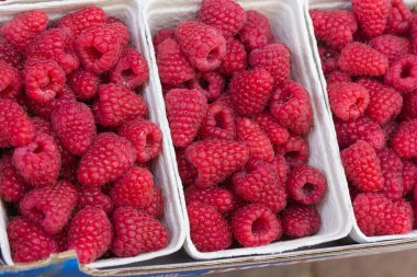 güçlü kırmızı mavi turuncu ve sarı renk varyasyonları gösterilen gıda ile yaz aylarında Güney Almanya yerel bir pazarda meyve satan