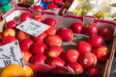 Ekim'de bir sonbahar günü güney Almanya Münih şehir yakınındaki kırsal kırsal ve stuttgart yerel haftalık piyasada taze meyve