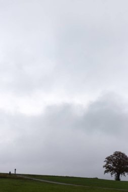 Sisli bir Kasım günü Hint ile görünür ufukta, yatay sonbahar renkleri Güney Almanya kırsal kesimde