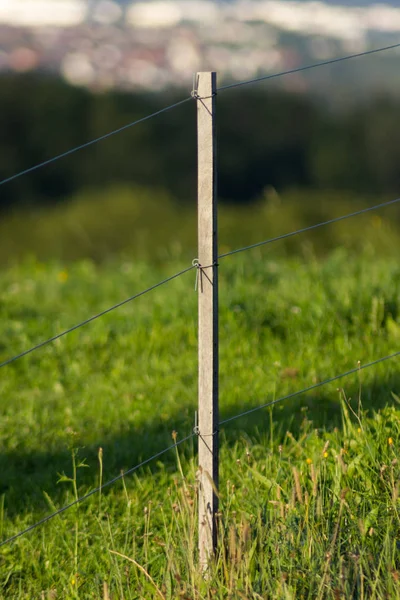 Recinzione Pascolo Con Villaggio Sullo Sfondo Campo Erba Verde Settembre — Foto Stock