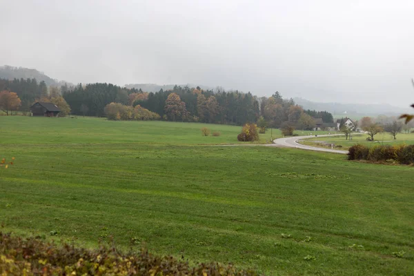 Paysage Automne Brumeux Dans Campagne Sud Allemande Avec Pelouse Verte — Photo