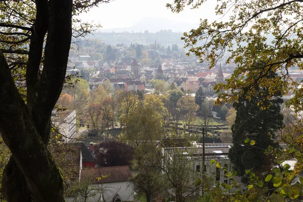 Táj Fák Bogyók Levelek Ősszel November Dél Németország Napos Város — Stock Fotó