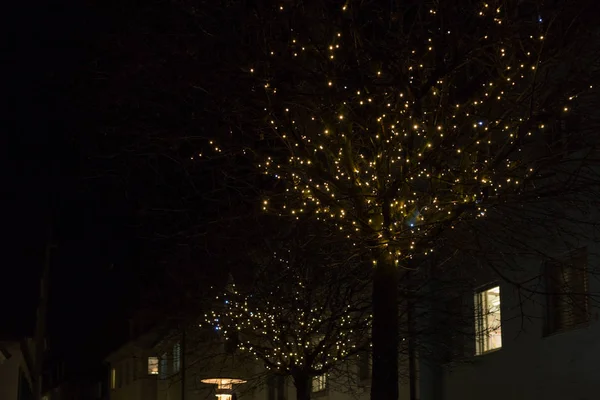 Kerstboom Een Markt November Zuid Duitse Historische Stad Buurt Van — Stockfoto