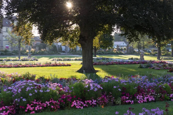 flowers and trees in a city park at morning sunshine in south germany city near stuttgart at summer month of august