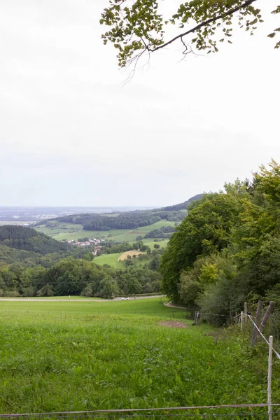 Fernweh Natur Mit Einer Alten Eiche Süddeutschland Ländliche Landschaft Sonnigem — Stockfoto