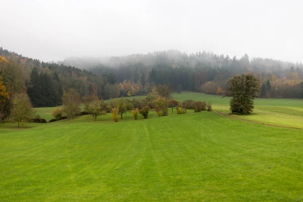 Nebuloso Outono Paisagem Sul Alemanha Campo Com Gramado Verde Inidan — Fotografia de Stock