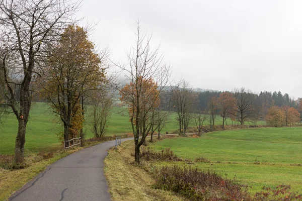 Ağaçlar Yaprakları Bir Bikeway Münih Stuttgart Şehirlere Yakın Yanında Yeşil — Stok fotoğraf