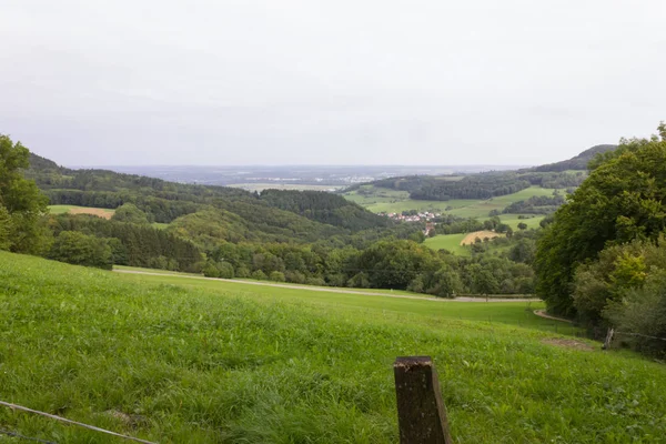 Wanderlust Nature Avec Vieux Chêne Dans Sud Allemagne Campagne Rurale — Photo