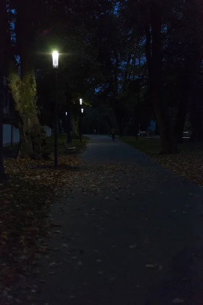 Stadtpark Bei Nacht Mit Lampen Und Boulevard Mit Bäumen Süddeutschland — Stockfoto