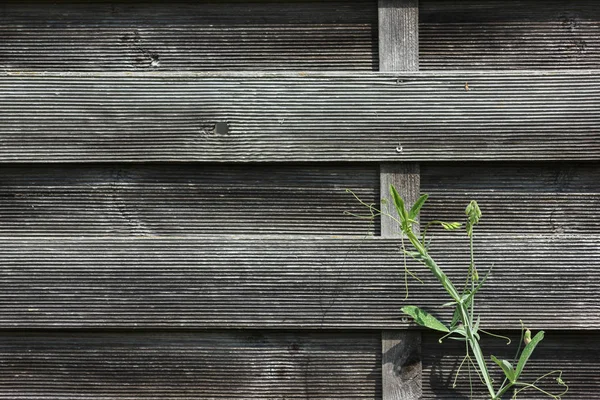 Madeira Compensada Amarelo Carvão Vegetal Cores Com Padrões Geométricos São — Fotografia de Stock