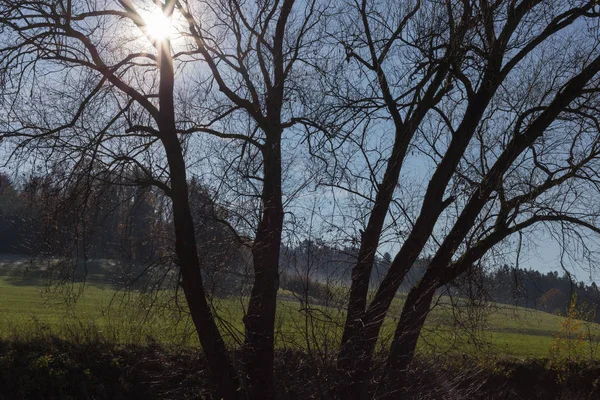 木の枝と秋の 月風景シュトゥットガルトとミュンヘン市の近くの青空に太陽が輝いているときにそれらの果実 — ストック写真