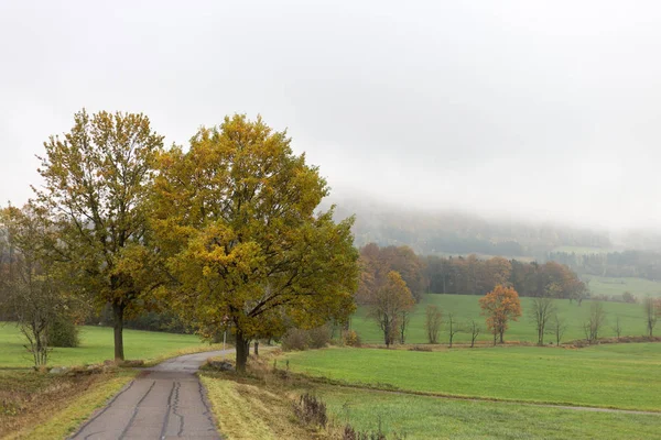 Туманный Осенний Пейзаж Южной Части Германии Сельской Местности Зеленой Лужайкой — стоковое фото