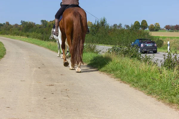 Two ladies riding horse on a sunny september day in south german countryside near city of stuttgart and munich — Stock Image Two Ladies Riding Horse Sunny September Day South German Countryside Royalty Free Stock Images