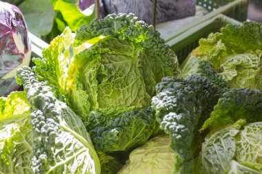 Temmuz ayında Güney Almanya gördüğünüz stand sebze soğan, salata, havuç ve daha fazla tür bir şehir sokak piyasada çok güneşli bir günde