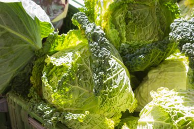 Temmuz ayında Güney Almanya gördüğünüz stand sebze soğan, salata, havuç ve daha fazla tür bir şehir sokak piyasada çok güneşli bir günde