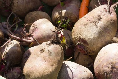 Temmuz ayında Güney Almanya gördüğünüz stand sebze soğan, salata, havuç ve daha fazla tür bir şehir sokak piyasada çok güneşli bir günde
