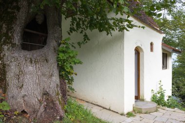 Yolculuk tutkusu Şapel Güney Almanya kırsal kırsal bir Eylül günü eski bir meşe ağacı