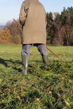 çim sonbahar Kasım güneşli bir günde Münih ve stuttgart yakınındaki Güney Alman kırsalında yan yatan yaşlı çiftçi