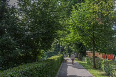 Bavyera bir tarihi şehir Güney Almanya'da, yaz aylarında bile zaman dinlendirici bir tatil için romantik bir yer eski kuleler ve çatı lambaları ve yeşil yollar ile göster