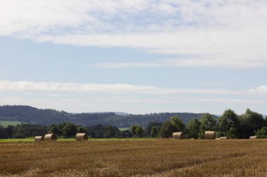 saman balya stubblefield stuttgart Ağustos yaz ayında Güney Alman peyzaj içinde