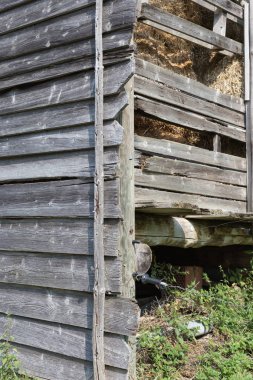 Güney Alman kırsal Eylül düşüşü ve ahşap eldered plakalar gri rengini içinde ahşap kulübe