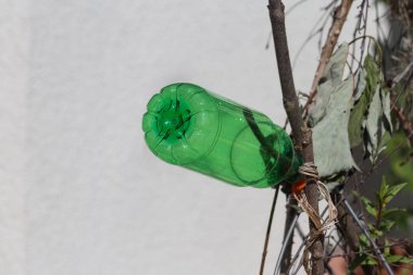 Güney Almanya kırsal ev bahçe dekorasyon.