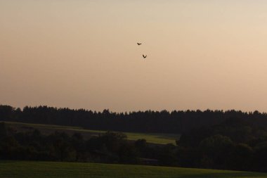 sıcak turuncu, yeşil ve sarı renkler ışıkla Eylül akşamı tarih Pzr sıcak izlenim kırsal peyzaj üzerinde vermek