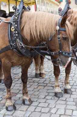 Bavyera bir tarihi şehir Güney Almanya'da yaz, eski at ve araba bile saygı eski objets tatiller için çok romantik bir yer vardır