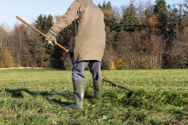 çim sonbahar Kasım güneşli bir günde Münih ve stuttgart yakınındaki Güney Alman kırsalında yan yatan yaşlı çiftçi