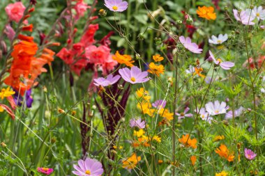 Sen görmek detayları ve yazlık ülke çiftlik evinin Bahçe ambiyans çiçeklenir renkleri harika turuncu kırmızı ve pembe ve mavi renkler ile Haziran ayında Güney Almanya çok güneşli bir günde