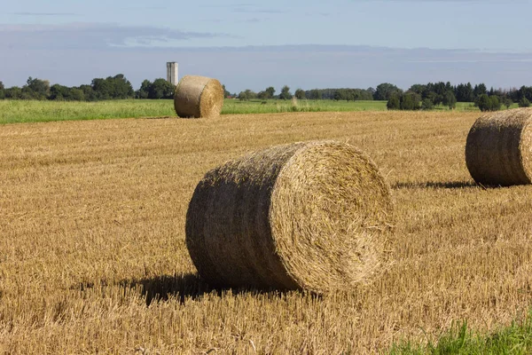 Straw Bale Stubblefield South German Landscape Summer Month August Stuttgart — Stock Photo, Image