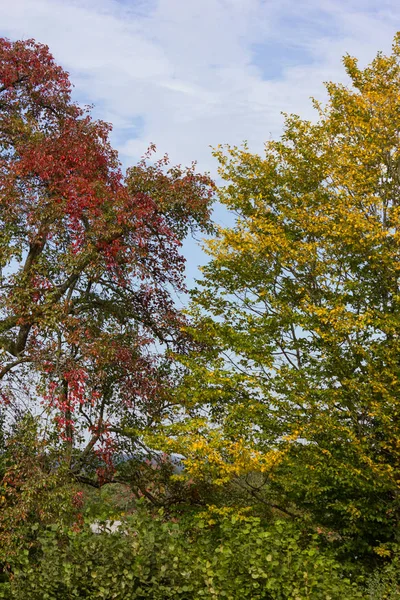 Outono Setembro Indiana Verão Cores Folhas Árvores Uma Bikeway Sul — Fotografia de Stock