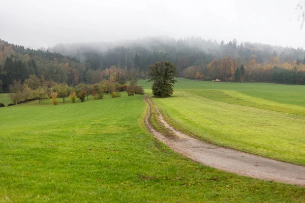 Neblige Herbstlandschaft Süddeutschen Raum Mit Grünem Rasen Und Inidansommerlichen Farben — Stockfoto