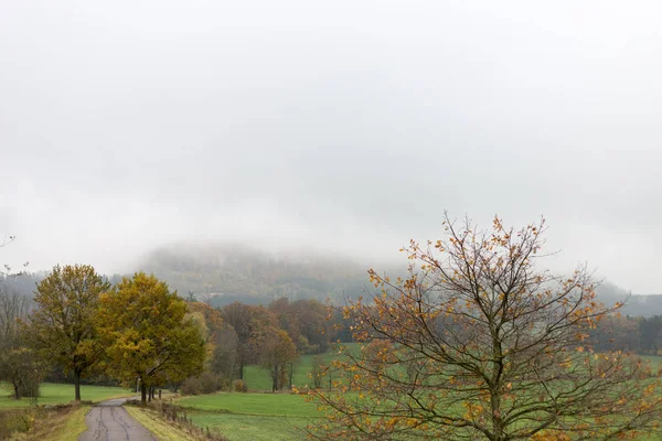 南德国乡村的雾秋季景观 绿色草坪和 Inidan 夏季颜色的树木和叶子旁边的自行车道附近的城市慕尼黑和斯图加特 — 图库照片