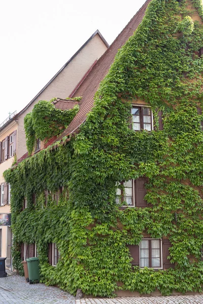 在德国南部的一个历史名城巴伐利亚 在夏季 你会看到建筑和房子的门窗和绿色植物像常春藤周围 — 图库照片