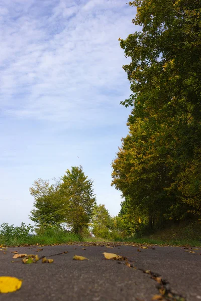 Podzimní Barvy Září Babí Léto Listí Stromy Bikeway Jižním Německu — Stock fotografie