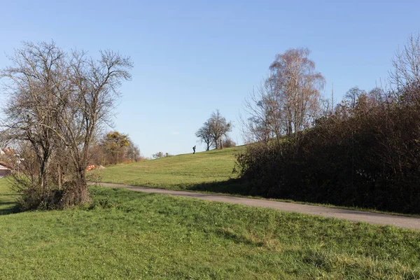 Outono Paisagem Rural Com Árvores Mortas Céu Azul Sul Alemanha — Fotografia de Stock