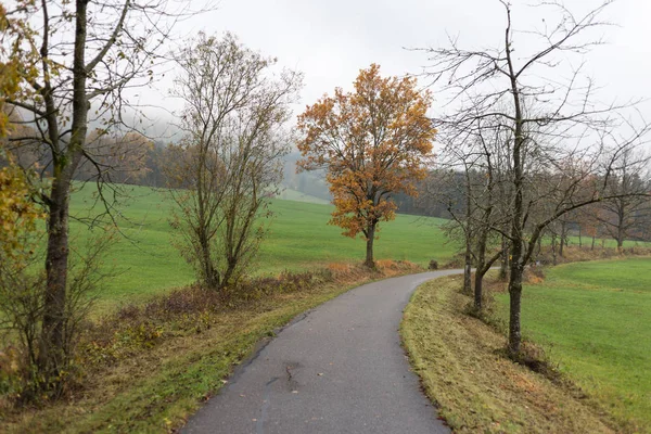 Neblige Herbstlandschaft Süddeutschen Raum Mit Grünem Rasen Und Inidansommerlichen Farben — Stockfoto