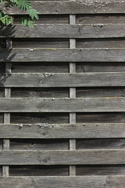 Madera Contrachapada Colores Amarillo Carbón Con Patrones Geométricos Son Perfectos —  Fotos de Stock