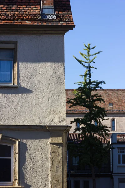 Fassadenarchitektur Und Außendetails Wie Töpfe Und Pflanzen Einer Historischen Stadt — Stockfoto