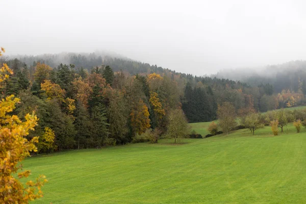 Mlhavé Podzimní Krajina Jihu Německém Venkově Zelený Trávník Inidan Letní — Stock fotografie