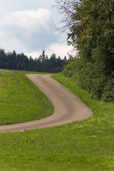 Kukuřičné Pole Letním Vedru Července Jih Německé Venkovské Krajině — Stock fotografie