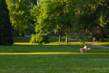 Güney Almanya Stuttgart area yakınındaki tarihi kent parkta bankta oturan üst düzey Bayan