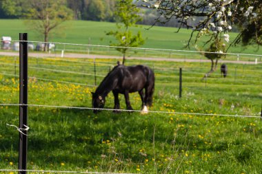 Elektrik mera çit güneye Alman kırsal kırsal kesimde