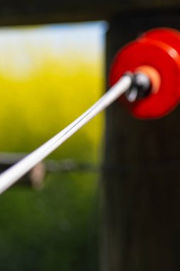 bahar güneşli gün çitte elektrik mera kırsal Güney Almanya güzel manzara