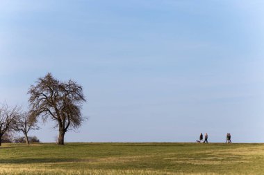 insanlar yürümek çalışan ya da Güney Almanya'da erken ilkbahar batımında Bisiklete binme gibi açık egzersiz pratik