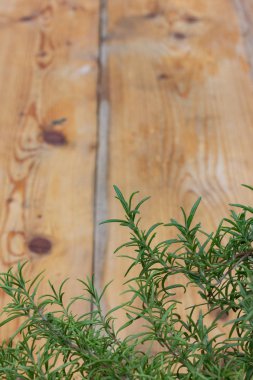 Güney Almanya tarihi şehirde arka plan bahçe salonu dekore