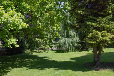 yeşil bahar ağaçlara Şehir Parkı Güney Almanya tarihi manzara